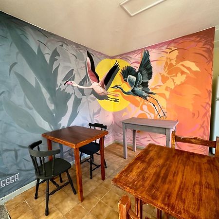 Amancay, Hostal Patagonico Hotell El Calafate Eksteriør bilde